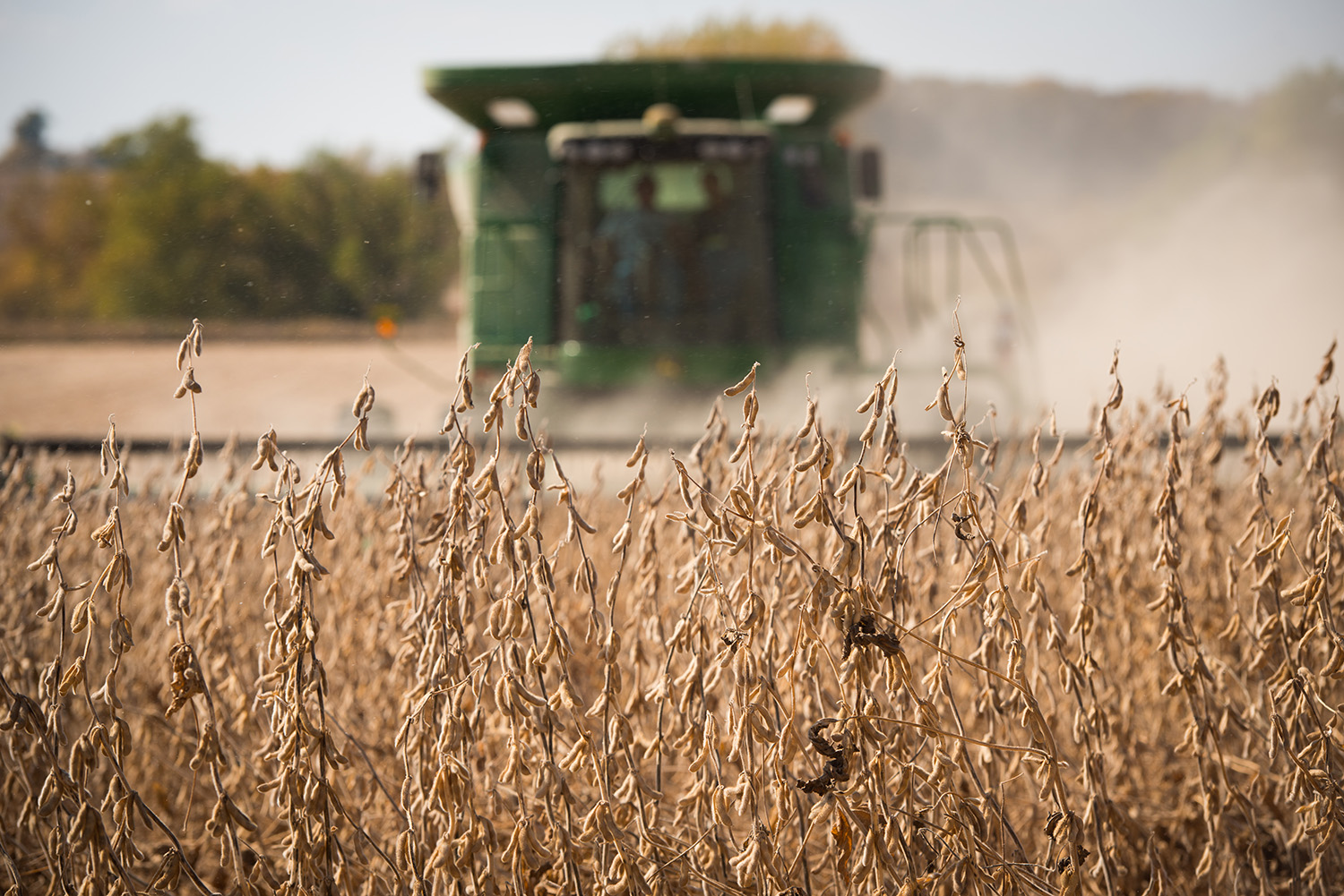 2022 Harvest Update From Across Iowa